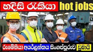 හදිසි රැකියා  hot jobs in romania ireland singapore qatar dubai [upl. by Delanie]