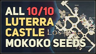 All 10 Luterra Castle Mokoko Seed Locations Lost Ark [upl. by Anstus]