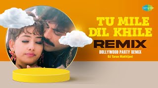 Tu Mile Dil Khile  Remix  Tarun Makhijani  Alka Yagnik  Manisha Koirala  Nagarjuna [upl. by Vincentia798]