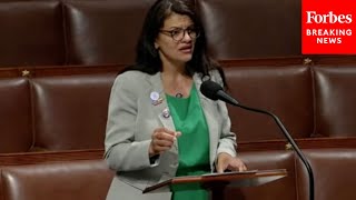 Rashida Tlaib Calls For Immigration Reform Pathway To Citizenship For Undocumented Immigrants [upl. by Harrat822]