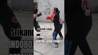 Pad work drills defense tecnique indoboxing [upl. by Eibbed723]