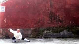 Wudang Sanfeng 13 Taiji quan Zixiaogong [upl. by Enneirb]