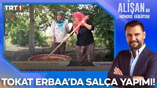 Tokat Erbaada kışlık salçanın tarladan sofraya uzanışı  AlisanileHayataGulumseTRT [upl. by Einatirb]