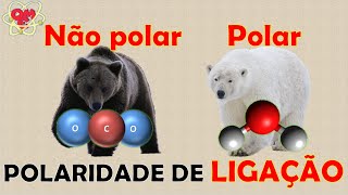 Polaridade de Ligação e de molécula Como determinar [upl. by Tudor]