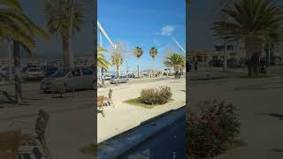 Alghero Sardegna italy italia sardegna travel palm beach foreversummer shorts trending yt [upl. by Burrton]