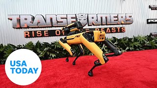 Dancing robot dog Spot showcases moves at Transformers premiere  USA TODAY [upl. by Aikenat94]