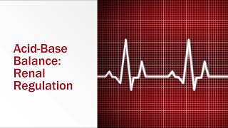 AcidBase Balance Renal Regulation [upl. by Eelannej]