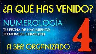 4️⃣ NUMEROLOGIA número 4 por fecha de nacimiento 👉 ¿A qué has venido 👉 A saber organizar [upl. by Zucker]