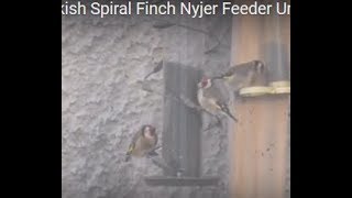 Peckish Spiral Finch Nyjer Feeder Unboxing [upl. by Arevle]