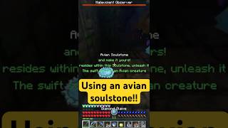 Got a flying mount from avian soulstone minecraft rlcraft rlcraftminecraft rlcraftdregora [upl. by Llehcar]