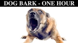 Sound Effects Of Dog Barking  ONE HOUR  BARK  GROWLING  CRY  PUPPY  WHINING  HQ [upl. by Remmus]