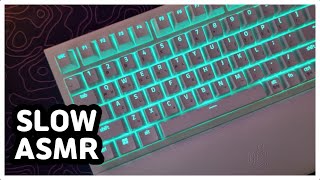 【SLOW ASMR】 Razer Blackwidow V4⌨️  Razer Orange Tactile  Keyboard Typing ASMR  No ADs No Talking😴 [upl. by Cherin]