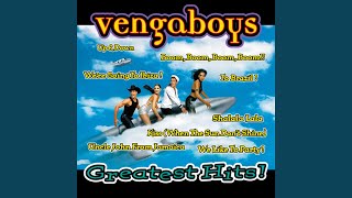 Ho Ho Vengaboys [upl. by Acinnej]