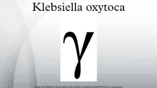 Klebsiella oxytoca [upl. by Felicdad]