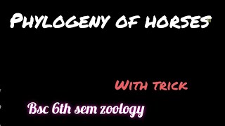 Phylogeny of horses  Evolution of horses Bsc 6th sem zoology unit 3  with trick to learn [upl. by Fugazy]