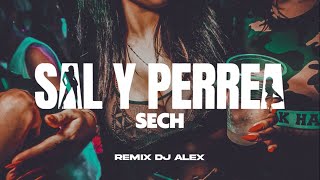 SAL Y PERREA REMIX SECH DJ ALEX [upl. by Lalib]