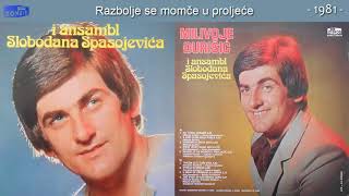 Milivoje Djurisic  Razbolje se momce u prolece  Audio 1981 [upl. by Valentino]