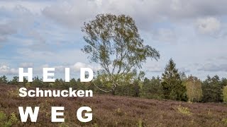 Heidschnuckenweg  Etappe 2 Buchholz – Handeloh  Wandern Lüneburger Heide [upl. by Yelats300]