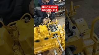 ремонтдвигателя двигатель mechanic weichai dieselengine engine диагностика ремонтдвс [upl. by Hayarahs]