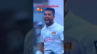 Dinesh Chandimal 🏏💪😍  Sri Lanka Cricket srilankacricket cricket sangakkara trending shorts [upl. by Assilana422]