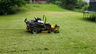 Mowing Thick Overgrown Grass with the Hustler Raptor 42 inch [upl. by Kelwin]