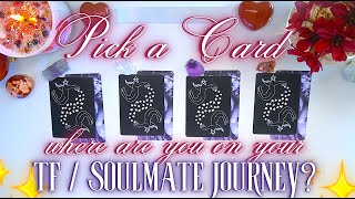 Twin Flame  Soulmate Connection CHECKIN 📋❤️ Pick a Card Collab with AdorasLightbyAmourinette  ✨ [upl. by Anilatsyrc609]