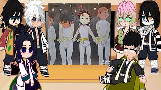 Hashiras react to themselves  KNY  Gacha reacts [upl. by Ahsinom]