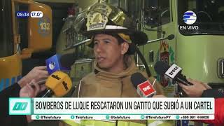 Bomberos de Luque rescataron un gatito que subió a un cartel [upl. by Osei]