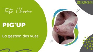 PIGUP  La gestion des vues [upl. by Barmen923]