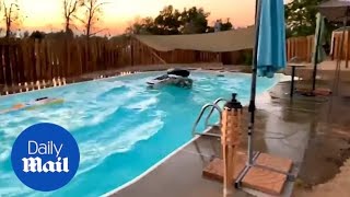 Footage shows swimming pool during 71 magnitude California quake [upl. by Sergei209]