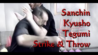 Kyusho Sanchin Tegumi Strike amp Throw [upl. by Amat571]