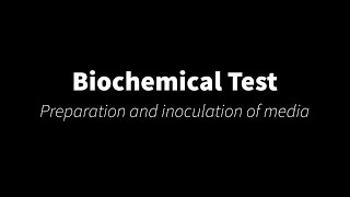 Biochemical Tests Preparation and inoculation of media [upl. by Weed133]