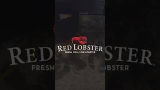 Red Lobster redlobster — Miami Fl 🇺🇸 [upl. by Atteval]