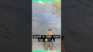 wafadari ka jita jagta सुबूत डॉग ने अपने malik ko pani se bchaya 😞shortvideo shorts viralvideo [upl. by Aguste]