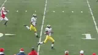 Wisconsin vs Michigan 2007 Mallet Manningham TD [upl. by Fredenburg]