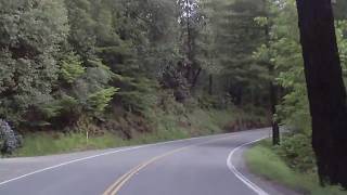 Riding through the RedWood forest on Highway 101 California Riding  535 [upl. by Handler403]