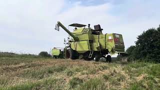 😱Wspomnienie😱🔥Żniwa 2024🇵🇱Polski klimat💪Ursus i Claas🇵🇱 [upl. by Ottillia]