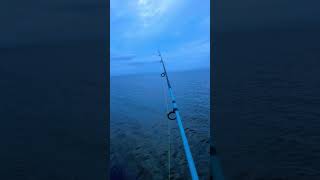 Fishing the Pamlico Sound [upl. by Amolap947]