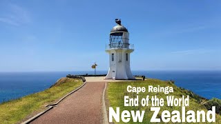 New Zealand tour quick view Northland Cape Reinga Giant sand dunes Paihia Beach Whangarei fall [upl. by Gault]