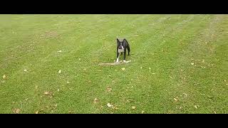 Benny T Turlington amp His stick Oct 15 2024 [upl. by Jo Ann]