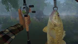 Fishing Planet  Unique Smallmouth Bass in North Carolina [upl. by Leodora]