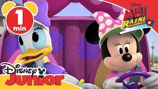 Miki i raźni rajdowcy  Przedstawienie postaci  Daisy Oglądaj w Disney Junior [upl. by Giovanna]