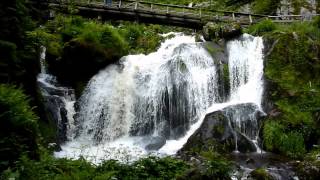 Der Triberger Wasserfall im Schwarzwald [upl. by Torrey442]