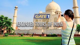 Gate 1 India Tour [upl. by Candie]