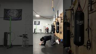 Kneeling T Spine Rotation Mobility [upl. by Kohcztiy]