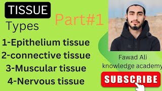 Tissue typesEpithelial tissue Classification of epithelial tissue [upl. by Duong902]