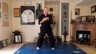 Virtual Training at Polander Academy Okinawan Kempo Peter Polander [upl. by Lorinda76]