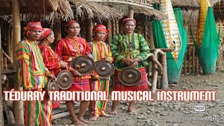 TÉDURAY TRADITIONAL MUSICAL INSTRUMENT🥰 [upl. by Mcquillin]