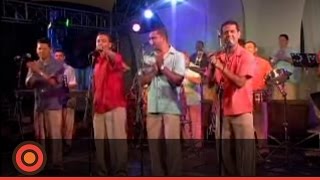 Grupo Galé  Como Duele Llorar Live [upl. by Anirtik809]