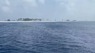 TX5S Clipperton Island News 18 January 2024 From DXNewscom [upl. by Idnod]